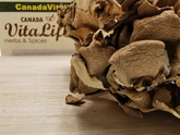 Maitake Mushrooms